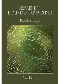 Imagen de portada: Awareness Bound and Unbound 9781438426808