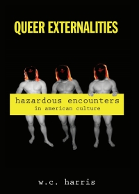 Titelbild: Queer Externalities 9781438427522