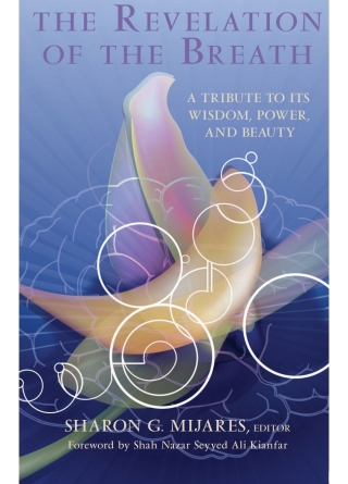 Cover image: The Revelation of the Breath 9781438428772