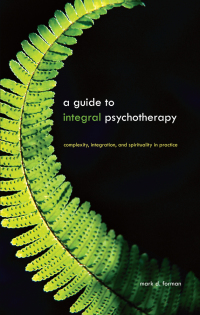 Cover image: A Guide to Integral Psychotherapy 9781438430232
