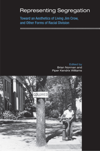 Cover image: Representing Segregation 1st edition 9781438430331