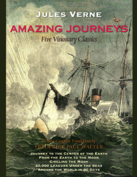 Cover image: Amazing Journeys 9781438432397