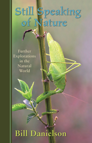 Cover image: Still Speaking of Nature 9781438435985