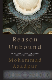 Cover image: Reason Unbound 9781438437637