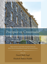 صورة الغلاف: Precipice or Crossroads? 1st edition 9781438444932