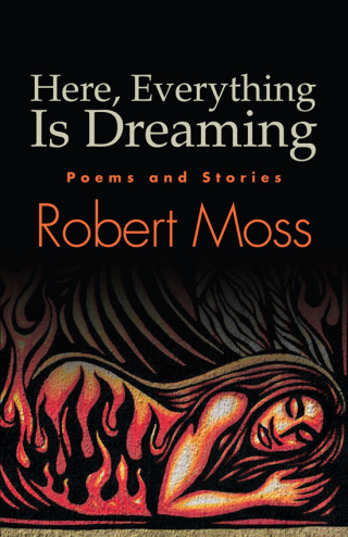 Cover image: Here, Everything Is Dreaming 9781438447148