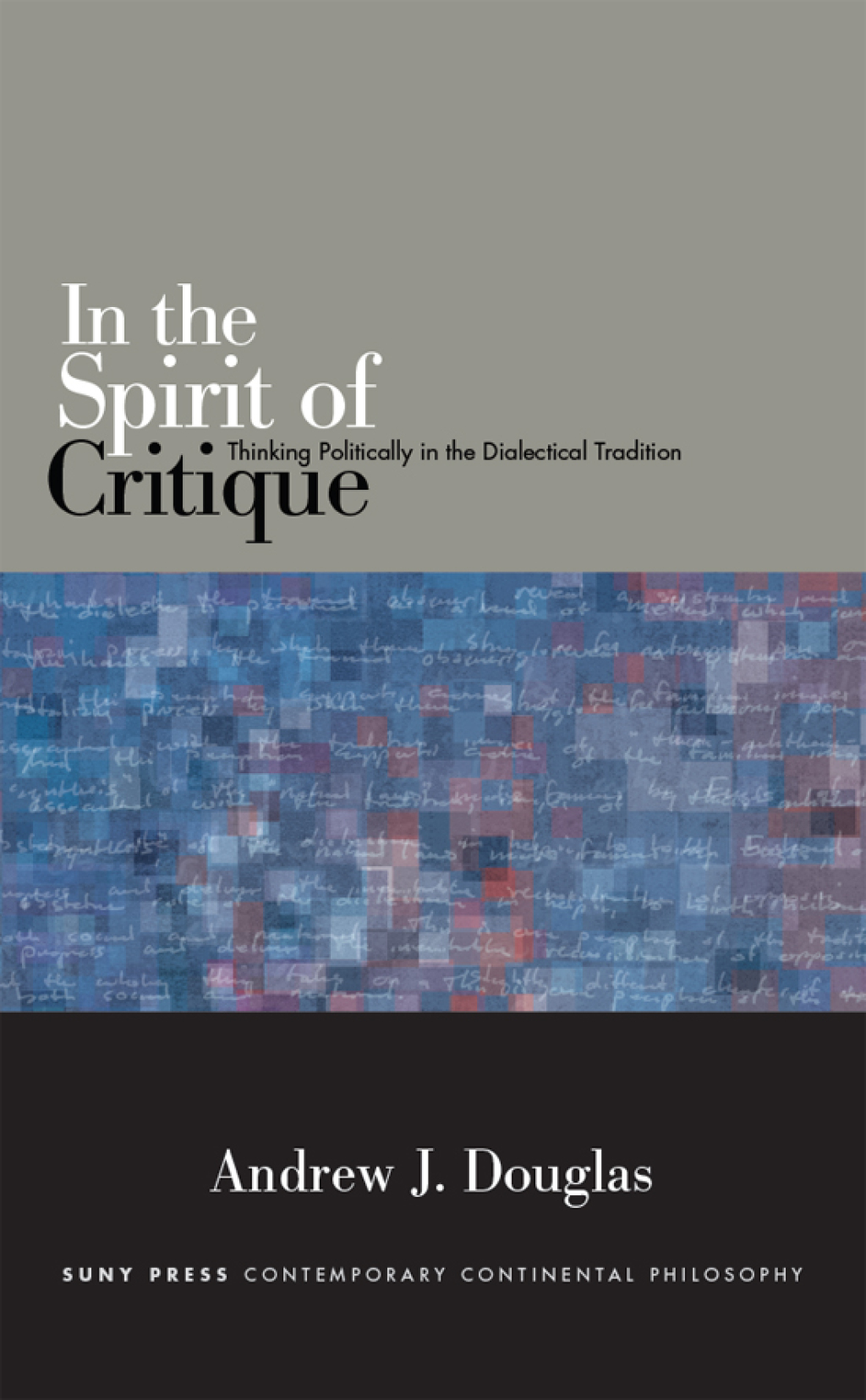 In the Spirit of Critique eBook
