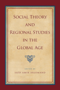 Cover image: Social Theory and Regional Studies in the Global Age 1st edition 9781438451596