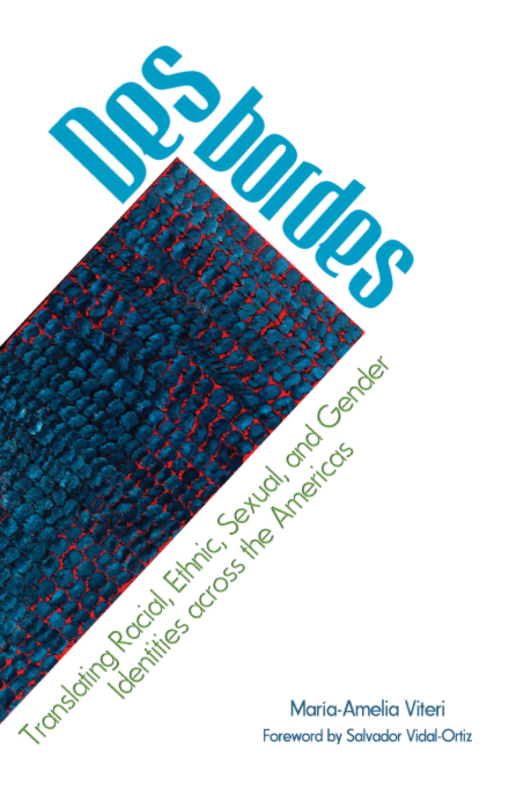 Desbordes Translating Racial, Ethnic, Sexual, and Gender Identities across the Americas