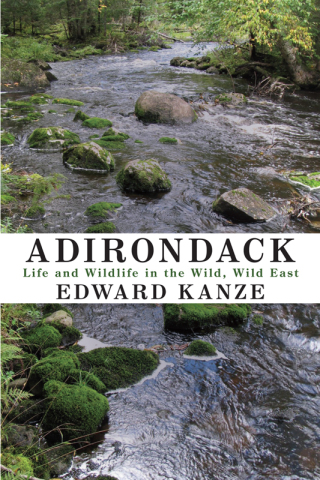 Cover image: Adirondack 9781438454146