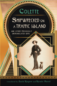 Cover image: Shipwrecked on a Traffic Island 9781438454443