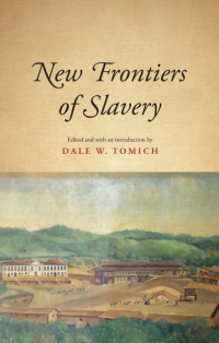 Cover image: New Frontiers of Slavery 1st edition 9781438458632