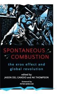 Cover image: Spontaneous Combustion 1st edition 9781438467276