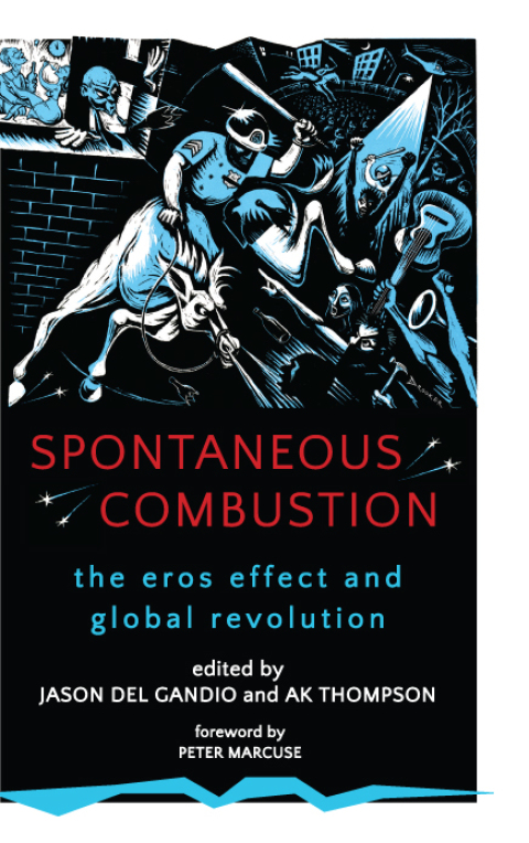 Spontaneous Combustion: The Eros Effect and Global Revolution, 1st Edition - FULL INSTANT DOWNLOAD | PDF DOCX EPUB