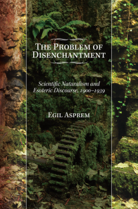 Imagen de portada: The Problem of Disenchantment 9781438469935