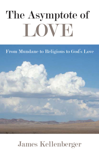 Imagen de portada: The Asymptote of Love 9781438471778