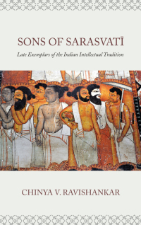 表紙画像: Sons of Sarasvati 1st edition 9781438471839