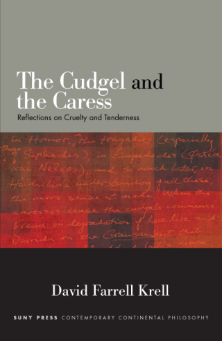 Cover image: The Cudgel and the Caress 9781438472973