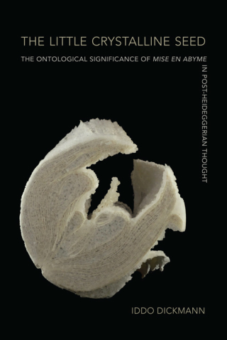 Cover image: The Little Crystalline Seed 9781438473994