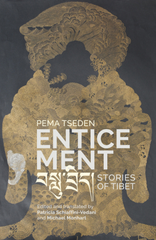 Cover image: Enticement 9781438474267