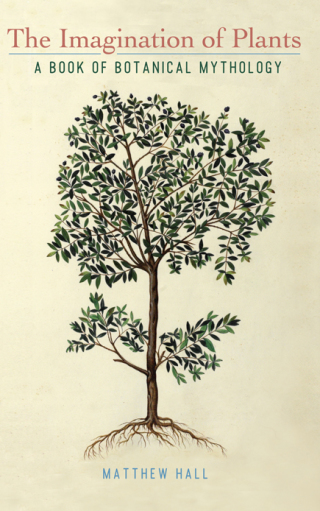 Cover image: The Imagination of Plants 9781438474380