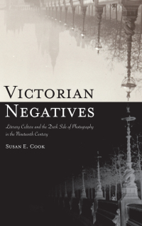 Cover image: Victorian Negatives 9781438475370