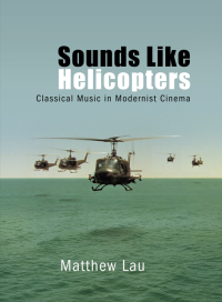 Titelbild: Sounds Like Helicopters 9781438476308