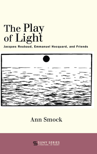 Cover image: The Play of Light 9781438481500