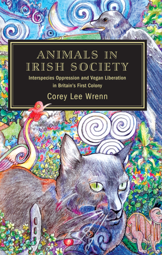 Cover image: Animals in Irish Society 9781438484358