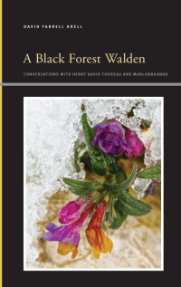 Cover image: A Black Forest Walden 9781438488493