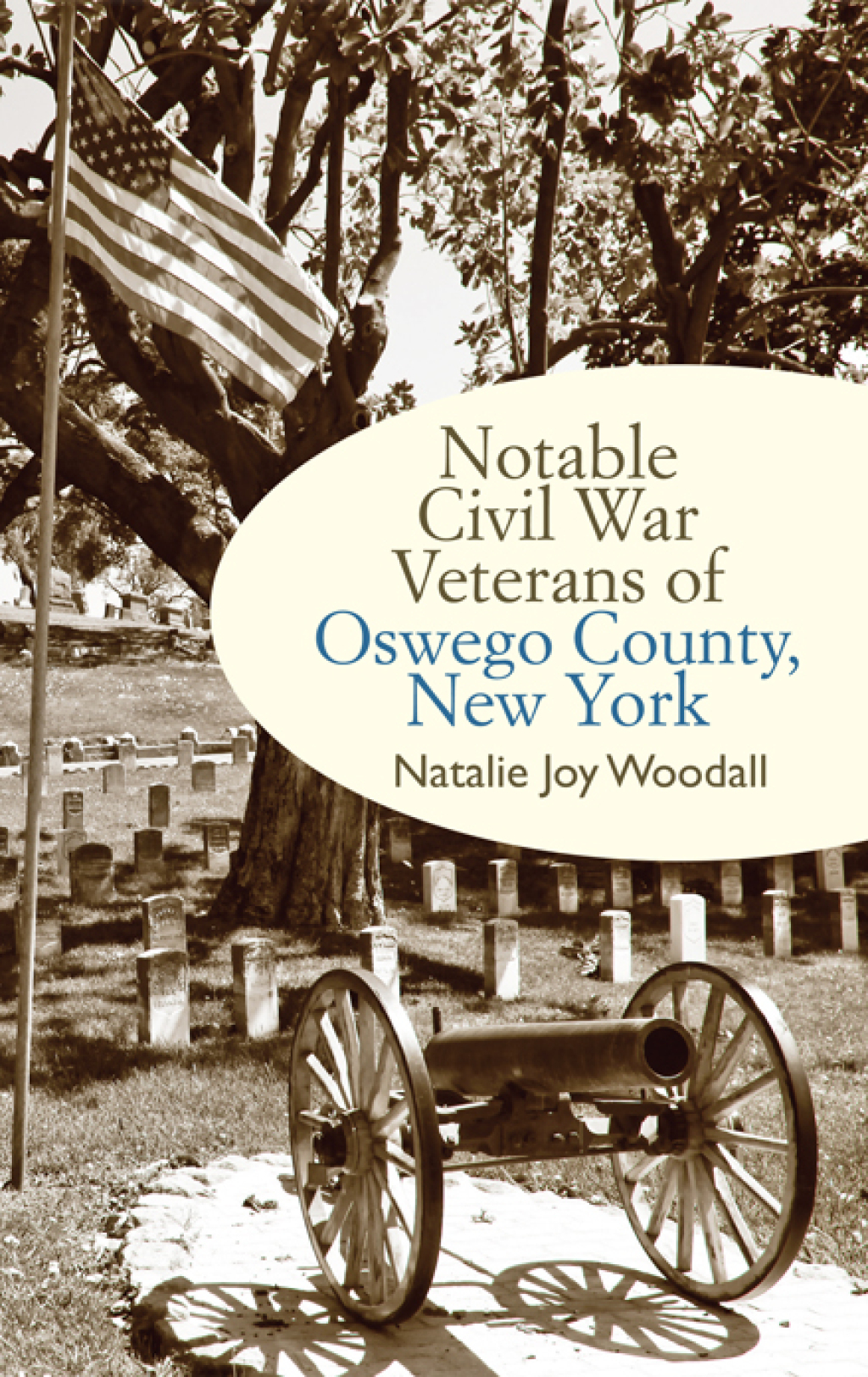 Notable Civil War Veterans of Oswego County, New York