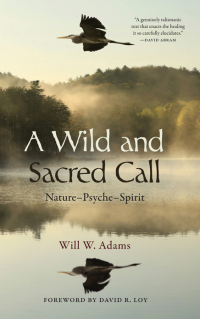 Omslagafbeelding: A Wild and Sacred Call 9781438492056