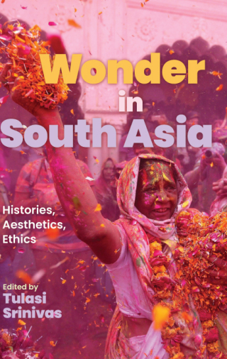 Cover image: Wonder in South Asia 9781438495279
