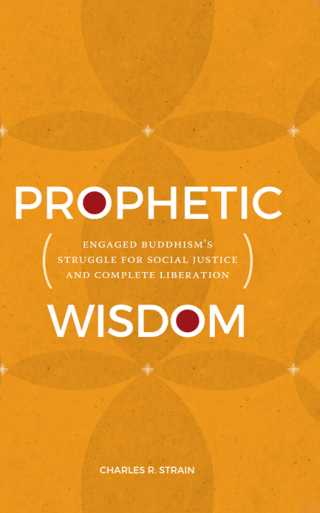 Cover image: Prophetic Wisdom 9781438498003
