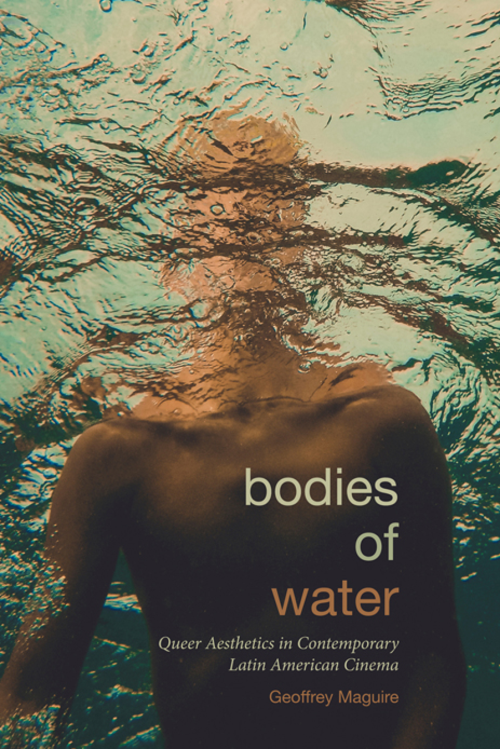 Bodies of Water Queer Aesthetics in Contemporary Latin American Cinema