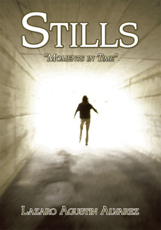Imagen de portada: Stills 9781438932675