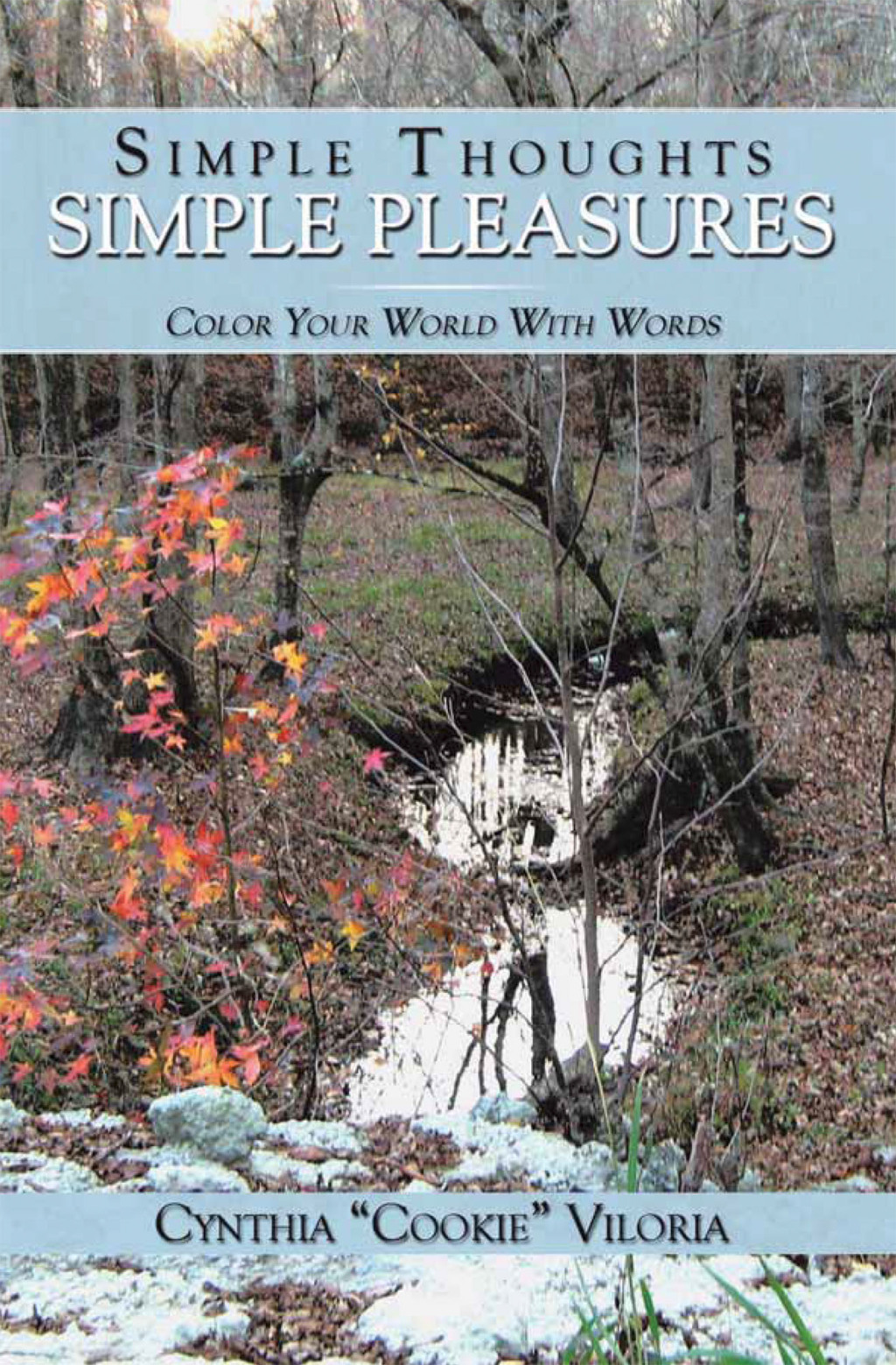 Simple Thoughts - Pleasures (eBook)