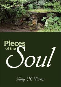 Imagen de portada: Pieces of the Soul 9781438989525