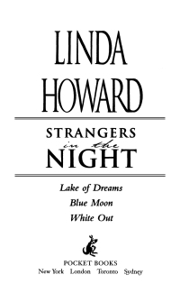 Cover image: Strangers in the Night 9781451628135