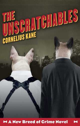 Cover image: The Unscratchables 9781416596417