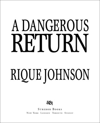Cover image: A Dangerous Return 9781593090432