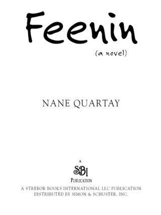 Cover image: Feenin 9780971195370