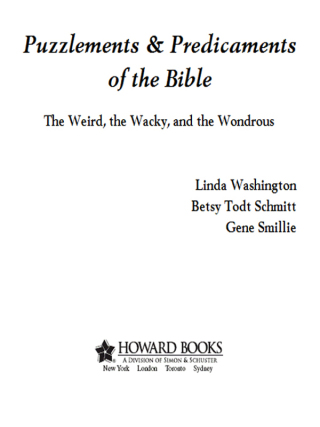 Cover image: Puzzlements & Predicaments of the Bible 9781416566762