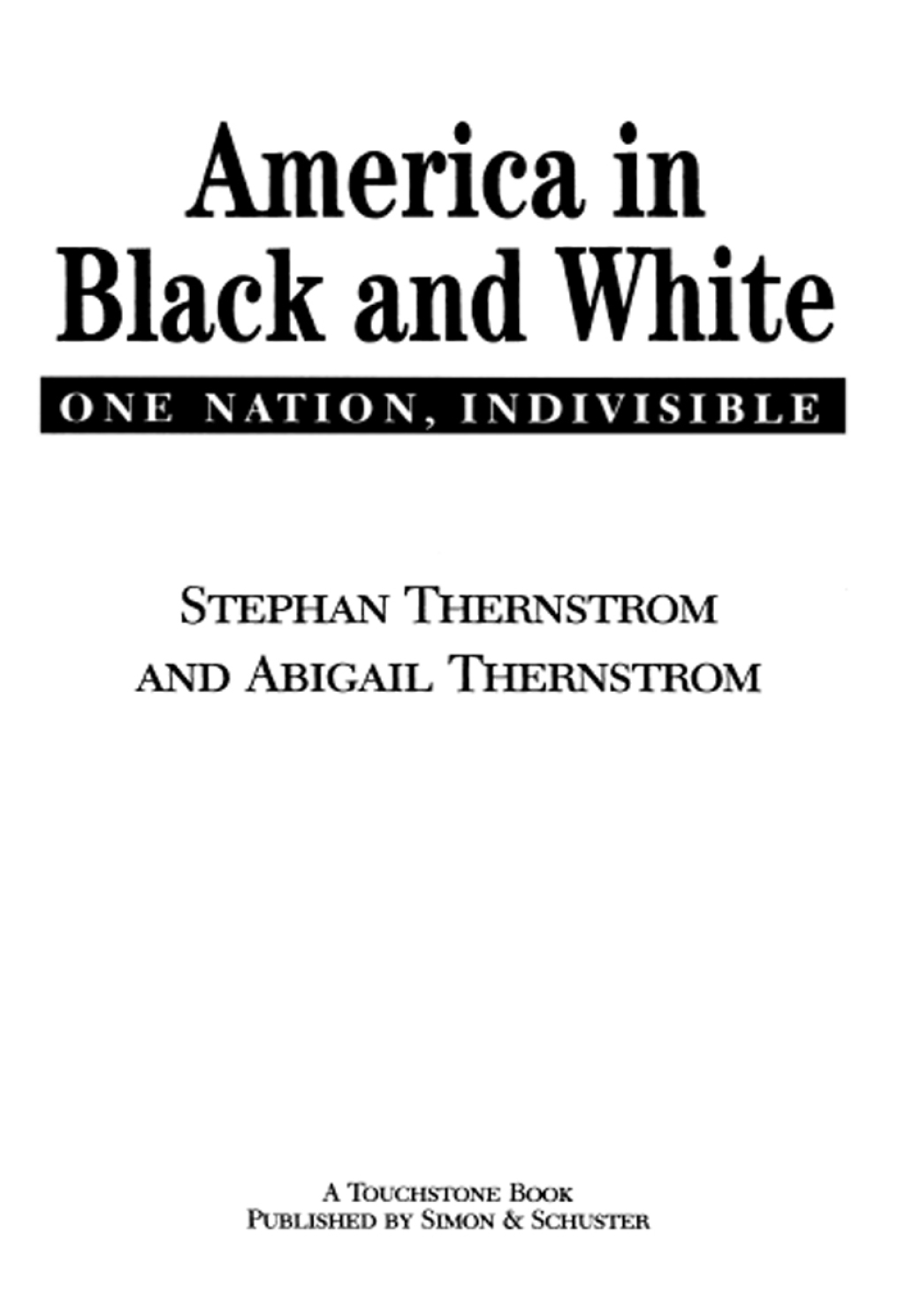 America in Black and White One Nation, Indivisible