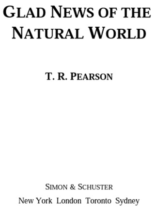 Cover image: Glad News of the Natural World 9780743264648