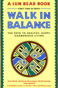 Cover image: Walk in Balance 9780671765644