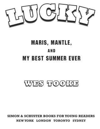 Cover image: Lucky 9781416986645