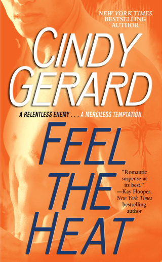 Cover image: Feel the Heat 9781982135003