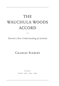 Cover image: The Wauchula Woods Accord 9780743295871