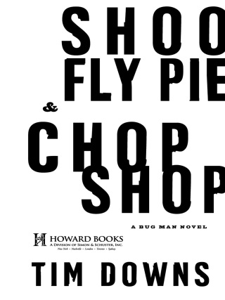 Cover image: Shoofly Pie & Chop Shop 9781439136157
